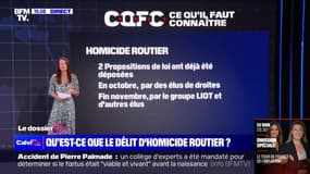 Qu'est-ce que le délit d'homicide routier?