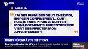 J'ai des punaises de lit chez moi. Puis-je quitter mon logement ? BFMTV répond à vos questions