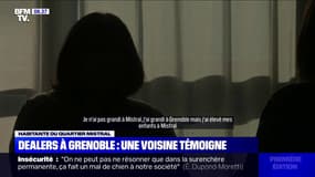 Excédée des trafics de drogue en bas de chez elle, cette habitante du quartier Mistral à Grenoble témoigne de son "ras-le-bol"