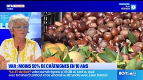Planète Locale du mercredi 23 octobre - Var, moins 50% de châtaignes en dix ans