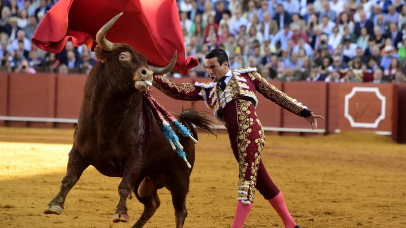Une corrida à Séville en Espagne, le 21 avril 2023 (photo d'illustration)