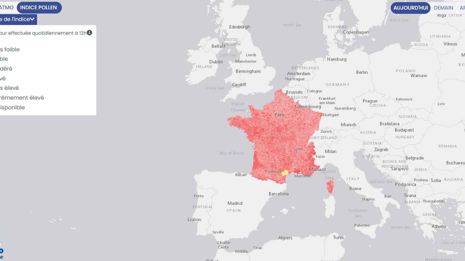 La carte des allergies au pollen le 20 juin 2025 en pleine période de canicule. La carte des allergies au pollen le 20 juin 2025 en pleine période de canicule.