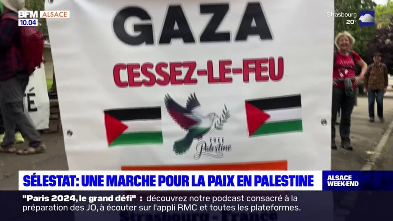 Alsace: une marche pour la paix en Palestine rassemble une centaine de ...