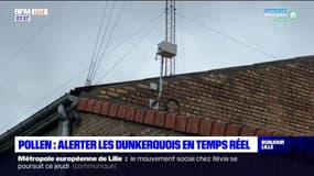 Dunkerque: une application pour alerter les habitants sur les pollens