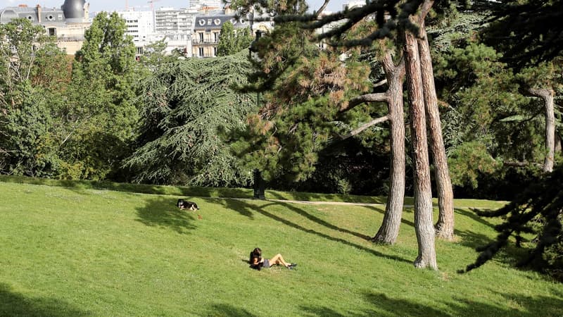 Plus d'allées pour les chiens à Paris 