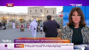 Goulet : "Un 'inspecteur' m'a appelée et donné mon mot de passe Gmail"