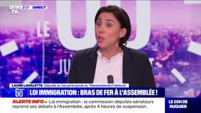Projet de loi immigration: "Si un accord est si difficile, c'est que ce texte est la quintessence du en même temps", pour Laure Lavalette (RN)