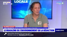 Planète Locale Lille/Litto: l'émission du 28 février, avec Rudy Pischiutta, directeur du Groupe ornithologique et naturaliste