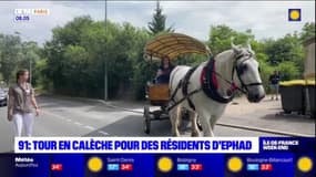 Brétigny-sur-Orge: une maison de retraite propose des sorties en calèche à ses résidents