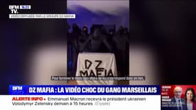 Story 5 : DZ Mafia, la vidéo choc du gang marseillais - 09/10
