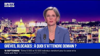 Consultations avec Sébastien Lecornu: "Il n'y a rien à obtenir", lance Sandrine Rousseau, députée Écologiste et Social de Paris 