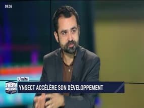 Ynsect accélère son développement - 10/11
