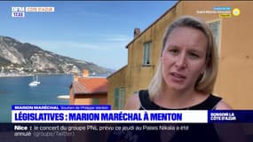 Législatives: "Damien Rieu est la terreur des élus qui se compromettent avec les islamistes" pour Marion Maréchal