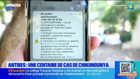 Antibes : une centaine de cas de chikungunya recensés