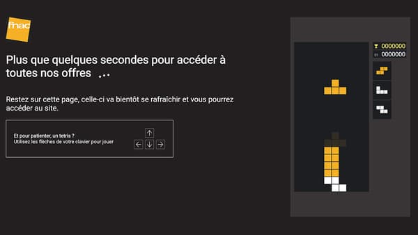 Capture d'écran du site de la Fnac ce 19 novembre 2020