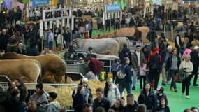 Au Salon de l'agriculture, à Paris, le 24 février 2025