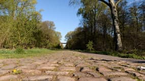 Les célèbres pavés de la course Paris-Roubaix.