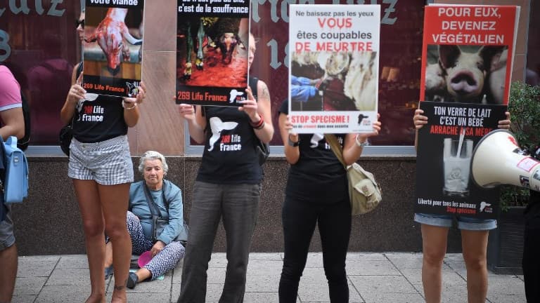 L'association 269 Life avait appelé les militants antispécistes à asperger les boucheries de faux sang ce week-end à Paris
