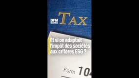 Adapter l'impôt des entreprises aux critères ESG : bonne idée ?