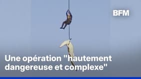 Afrique du Sud: un policier récupère un crocodile euthanasié, soupçonné d'avoir mangé un homme