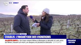 Le Chablis ne sera-t-il bientôt plus un vin de Bourgogne?