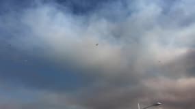 Forte intervention aérienne contre le feu de Générac - Témoins BFMTV