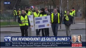 Gilets jaunes: Quelle délégation pour rencontrer le Premier ministre ?