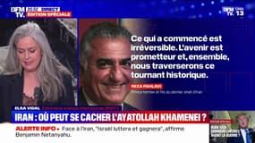 Iran: Reza Pahlavi, le fils du shah, appelle les Iraniens au soulèvement national