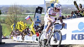 Tadej Pogacar dans le Paterberg sur le Tour des Flandres, le 6 avril 2025