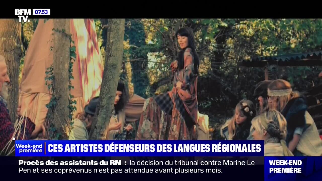 Nolwenn Leroy, Patrick Fiori, Alan Stivell: ces artistes défenseurs des langues régionales