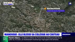 Manosque: une femme blessée au couteau par l'une de ses collègue