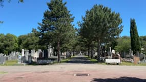 Le cimetière de la Guillotière, vaste de 18 hectares, est particulièrement recouvert de bitume. 