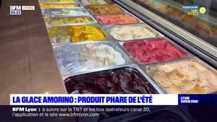Lyon: le succès de la glace Amorino, produit phare de l'été