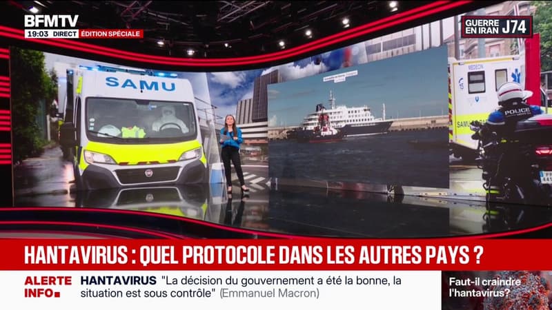LES ÉCLAIREURS - Hantavirus: quel protocole dans les autres pays ?
