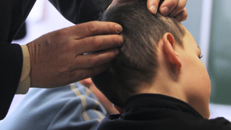 Vérification de la présence ou non de poux dans le cuir chevelu d'un enfant, image d'illustration. 