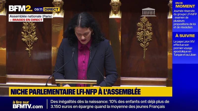 "L'adoption du Mercosur, c'est la hantise des éleveurs", affirme la députée PS Mélanie Thomin