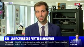 Gel: la facture des pertes s'alourdit - 17/04