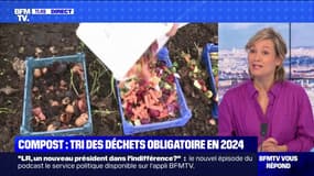 Le compostage va-t-il devenir obligatoire, même en appartement ? BFMTV répond à vos questions