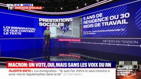 LES ÉCLAIREURS - Loi immigration: ce que contient le texte