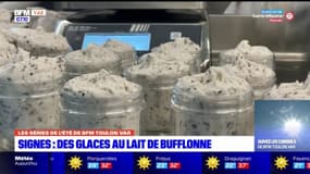 Signes: des glaces au lait de bufflonne dans le Var