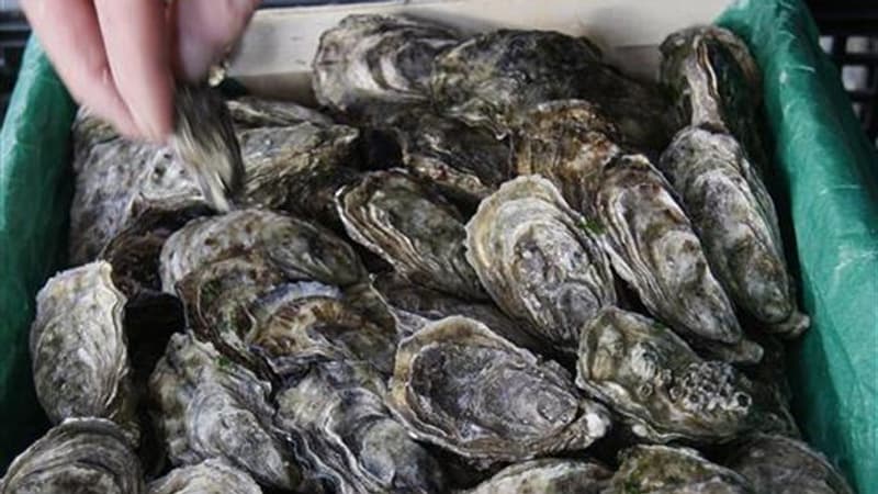 Après des intoxications, les huîtres du Bassin d'Arcachon interdites à la vente en pleines fêtes