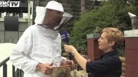Sarah Pitkowski vous présente les ruches de Roland-Garros