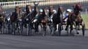 Peloton de chevaux de course à Vincennes