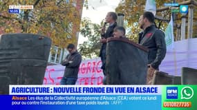 Agriculture: nouvelle fronde en vue en Alsace 