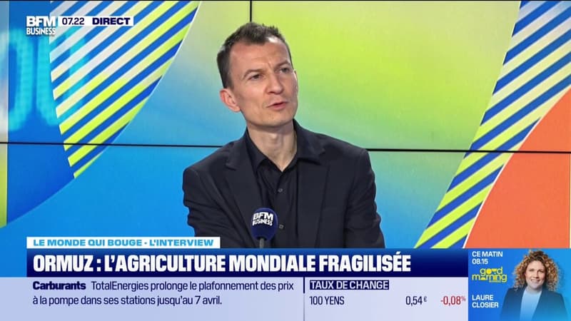 Blocage du détroit d'Ormuz : l'agriculture mondiale fragilisée
