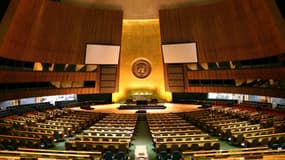 Assemblée générale des Nations-Unies