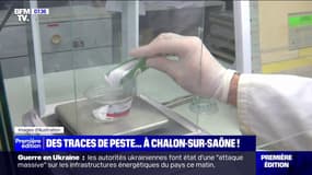 Des traces de peste retrouvées dans un courrier envoyé à une école à Chalon-sur-Saône