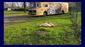 Le bus aménagé du couple Perrichon-Pacaud, en panne depuis plusieurs mois sur une aire de camping bretonne