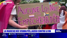 Strasbourg: une marche des visibilités et aussi contre l'extrême droite