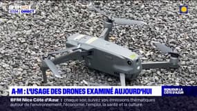Alpes-Maritimes: l'usage des drones examiné par le Conseil d'État